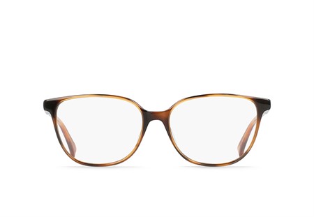 TOMIE 52 Pecan Tortoise/Clear
